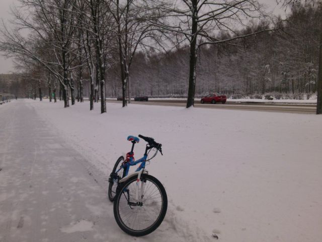 193770980.p.800.800.0.jpg (45.31 Kb)