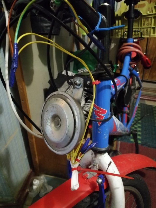 2473683.p.800.800.0.jpg (81.9 Kb)