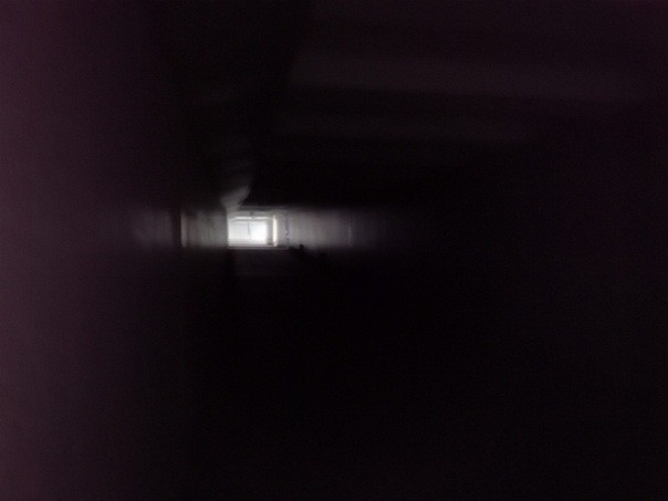 4005_z4.jpg (37.88 Kb)