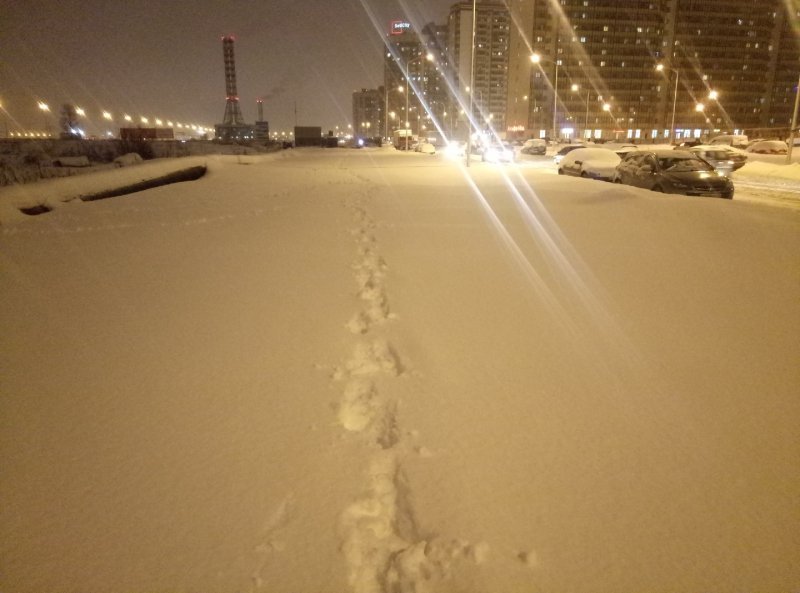 9265_800.0.jpg (56.2 Kb)