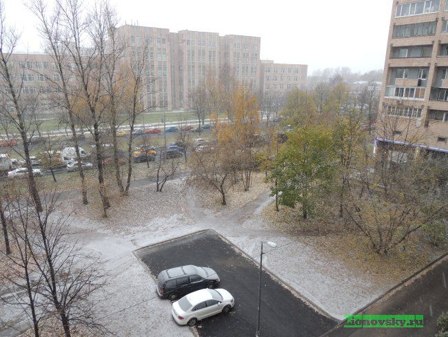 dscn0833.jpg (83.78 Kb)