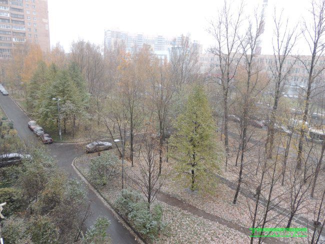 dscn0834.jpg (90.42 Kb)