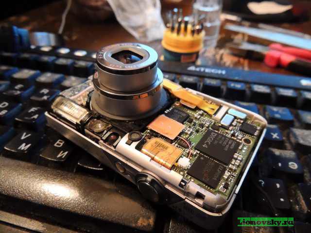 pewm0062mlm.jpg (51.63 Kb)