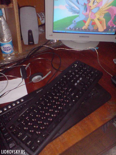 //lionovsky.us/load/picture.php?did=Photo3fid=003.jpgresize=